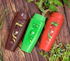 Dầu gội Dược liệu Thái Dương 3 xanh lá 200ml mới
