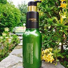 Dầu Gội Sophia Nước Hoa 500ml