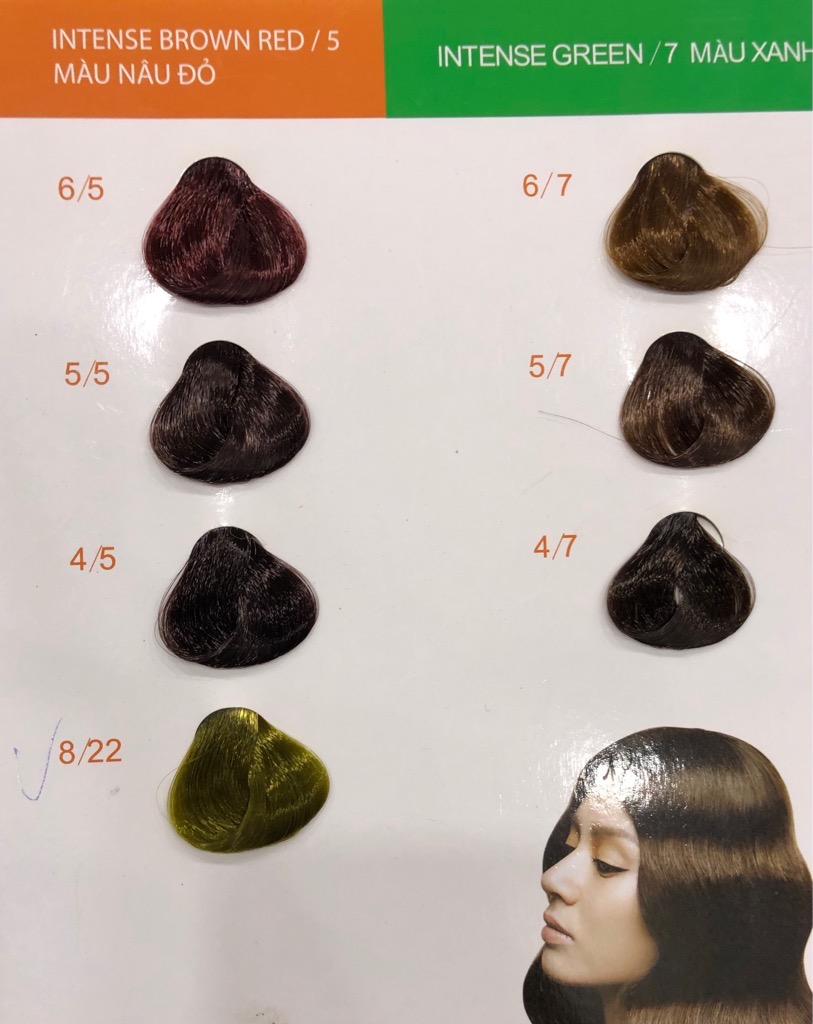 Thuốc nhuộm tóc Everflor