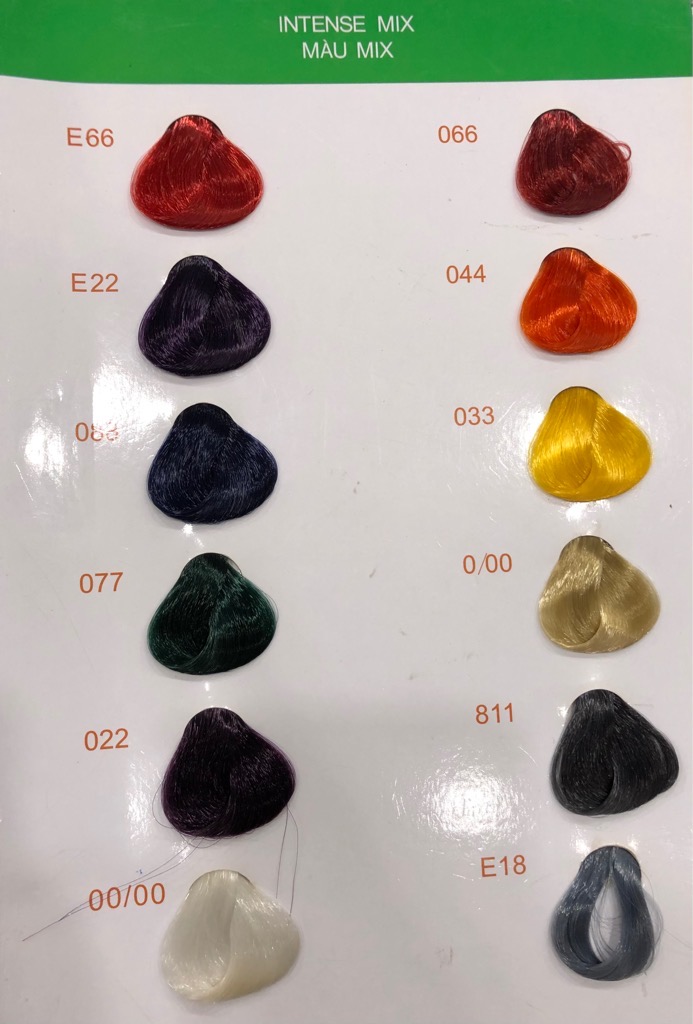 Thuốc nhuộm tóc Everflor