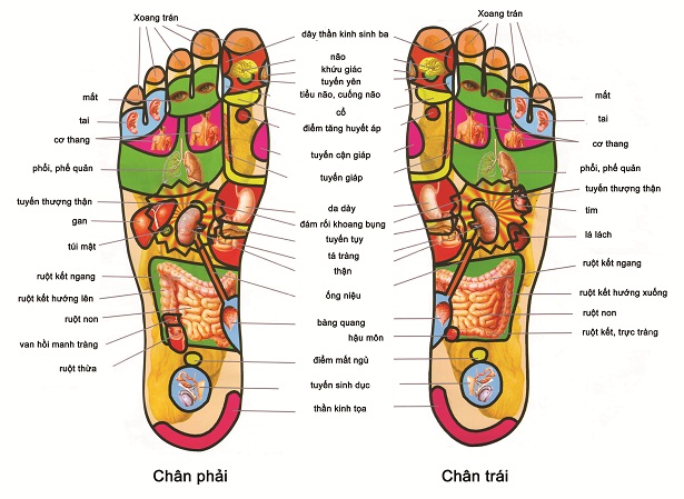 Bồn Ngâm Massage Chân Cao Cấp Có Chức Năng Làm Nóng Nước