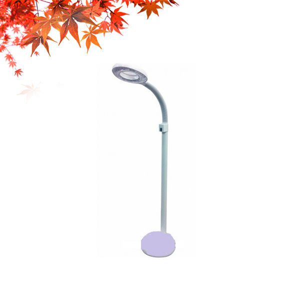 Kính lúp ánh sáng