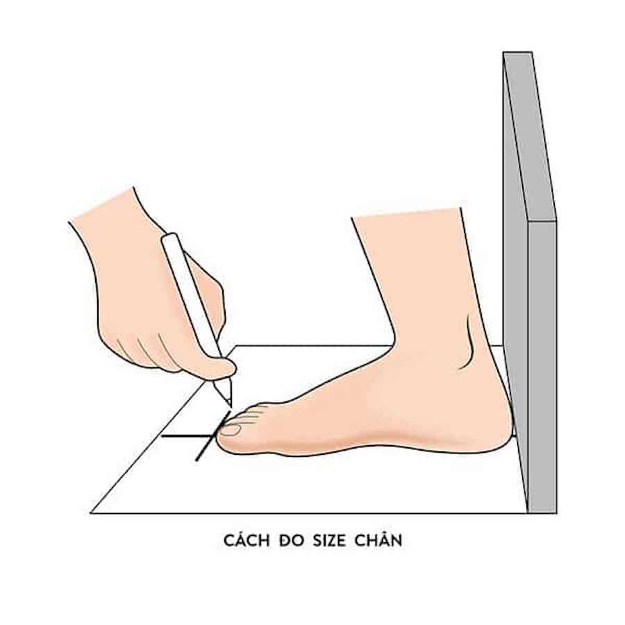 Cách Đo Size Giày MLB Nam Chuẩn Không Cần Chỉnh