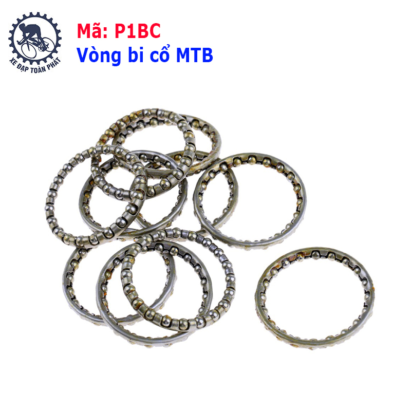 Vòng bi cổ MTB