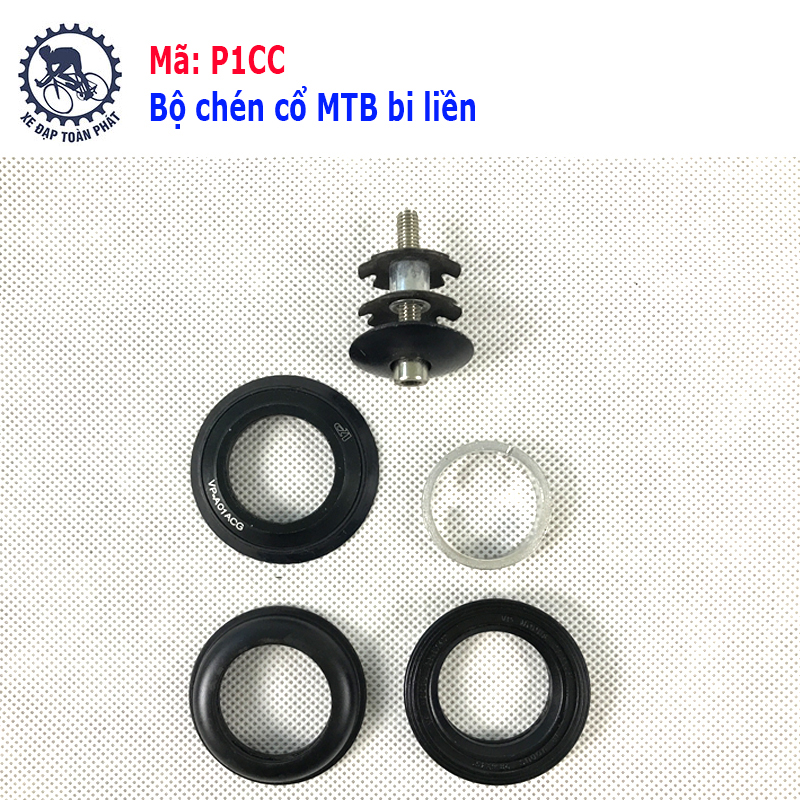 Bộ chén cổ MTB bi liền