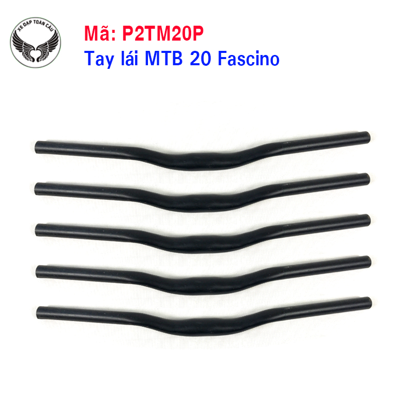 Tay lái MTB 20 Fascino