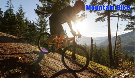 Xe đạp Địa hình