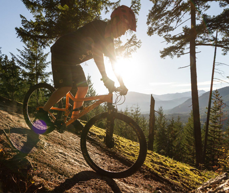 Xe đạp địa hình