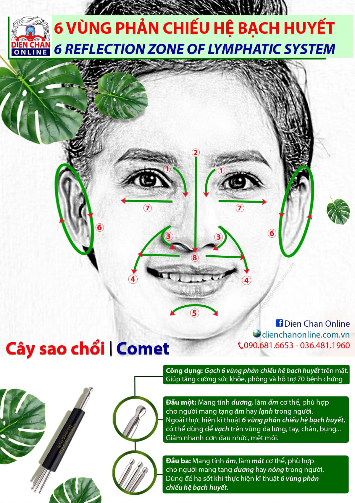 6 VÙNG PHẢN CHIẾU HỆ BẠCH HUYẾT Diện Chẩn Bùi Quốc Châu Online