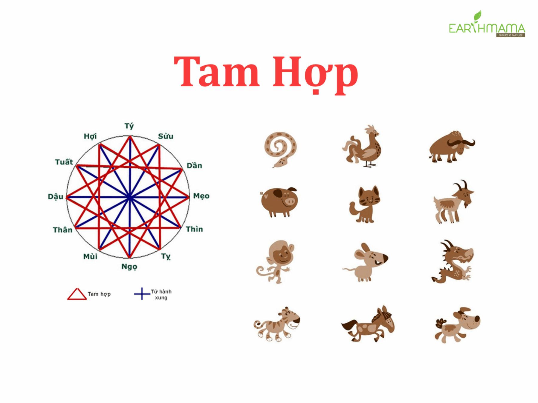 Chọn giờ tiến hành lễ cúng đầy tháng. Tam hợp là gì? Tứ hành xung là gì?