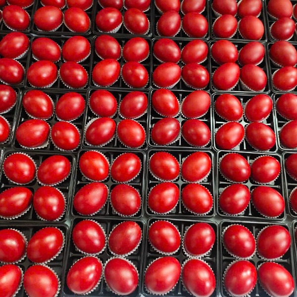 Trứng Gà Đỏ - Trứng Báo Hỷ