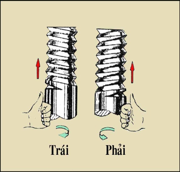 Ren hệ mét là gì?