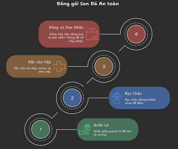 Chi tiết quy cách đóng gói sen đá đảm bảo an toàn khi vận chuyển