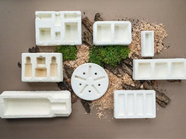 Mushroom packaging là giải pháp thay thế lý tưởng cho xốp polystyrene
