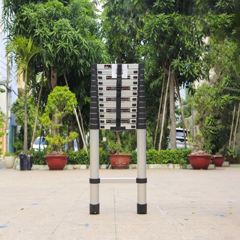 Thang rút đơn 5,4m đai đen