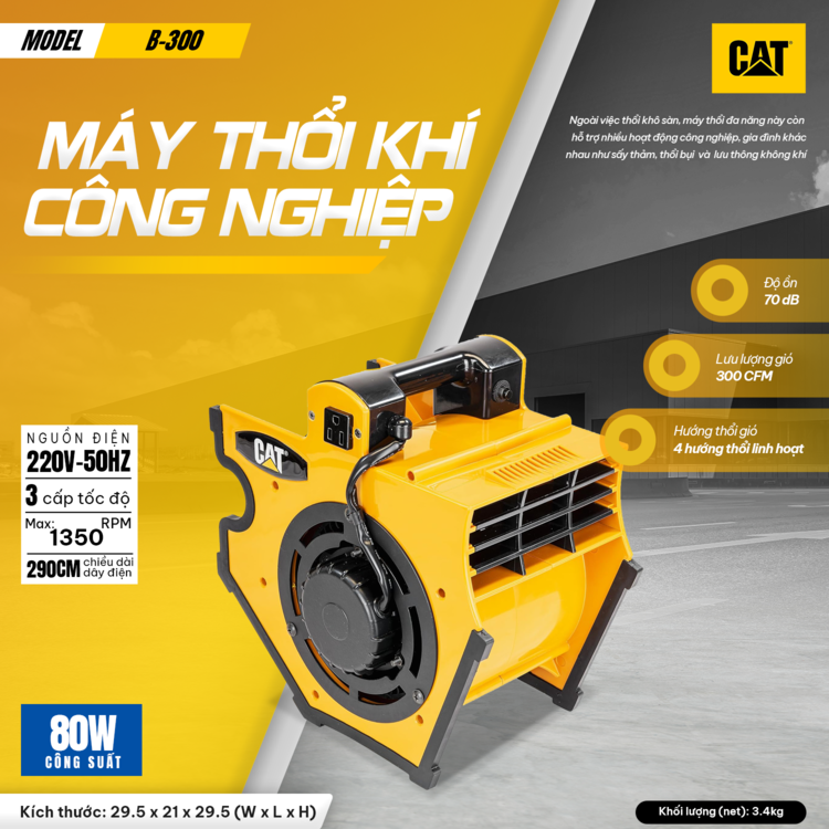 Máy thổi khí công nghiệp Caterpillar B-300