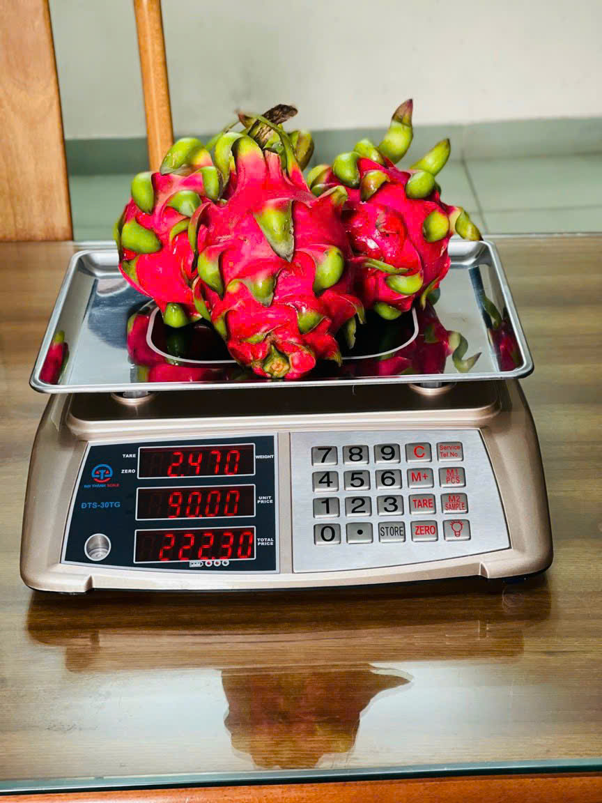 Cân điện tử tính tiền ĐTS-30TG