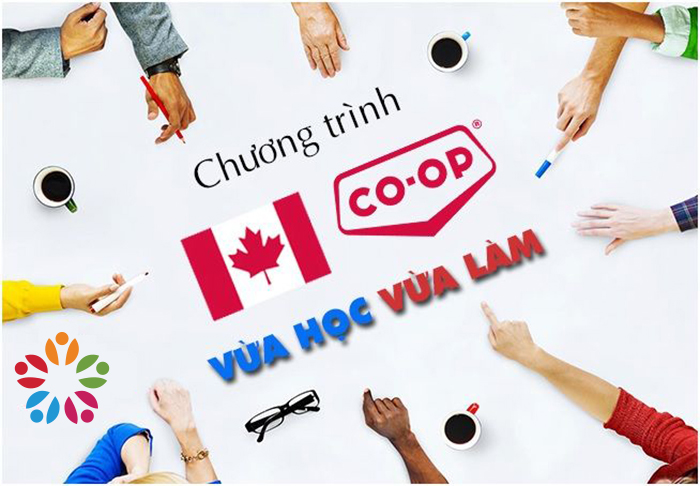 làm việc khi du học canada