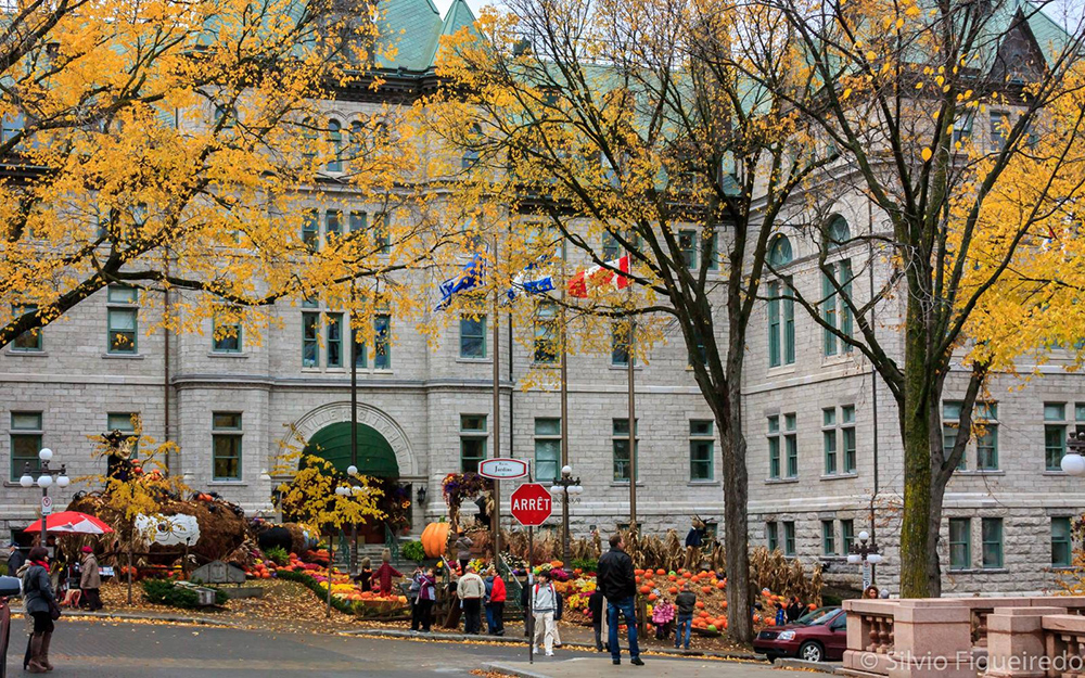 định cư canada