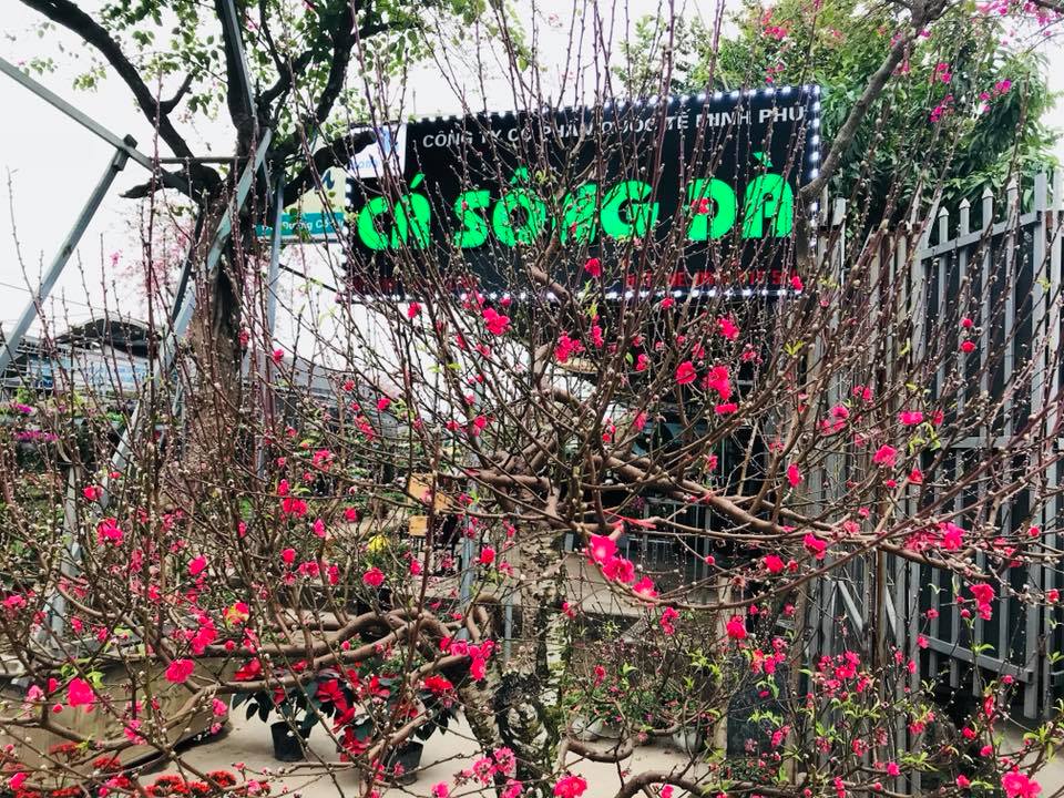 Mừng sinh nhật cửa hàng 234 Cổ Linh tròn 1 tuổi.