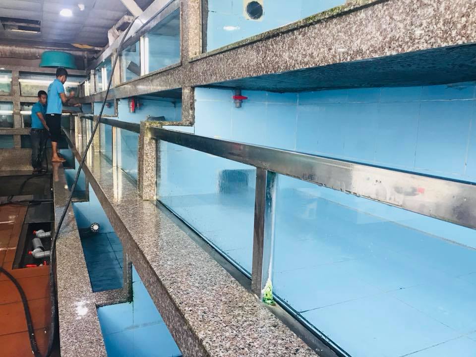 Tiếp tục khai trương cửa hàng cá Sông Đà thứ 5 tại thành phố Giao Lưu, Phạm Văn Đồng.