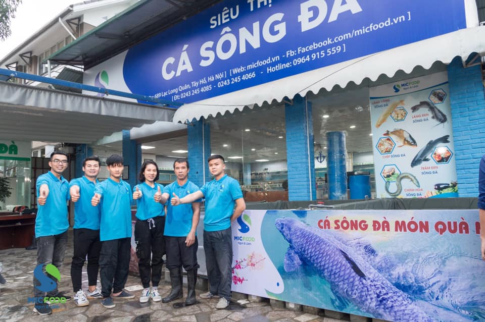 Đại lý cá lăng - Đại lý cá lăng công Đà tại Hà Nội