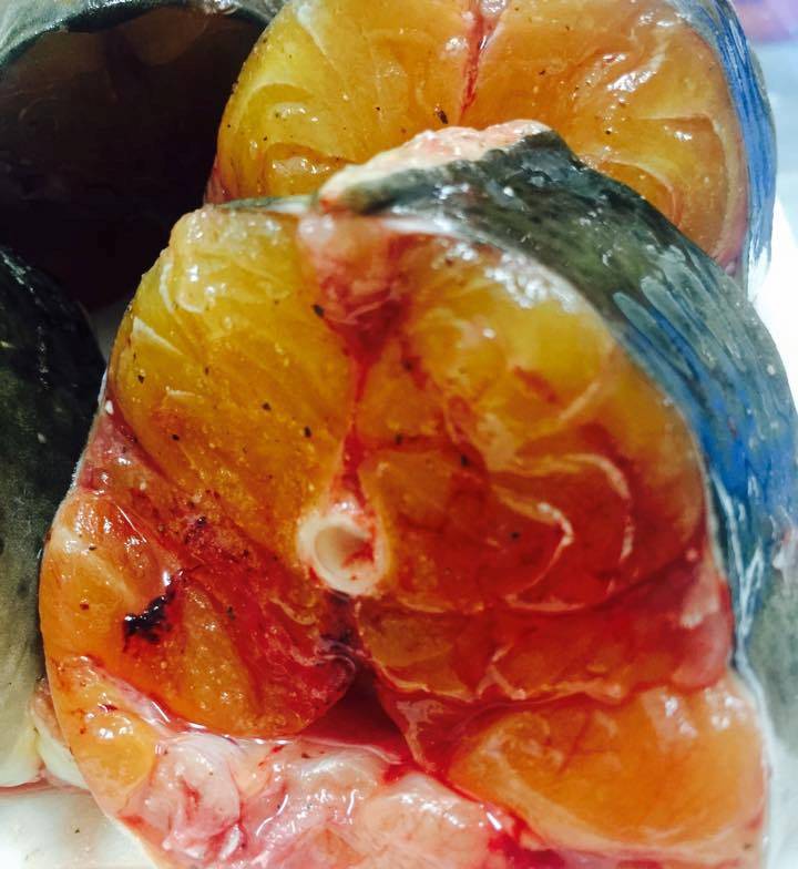 Đặc sản cá Chiên sông Đà - Gỏi cá Chiên