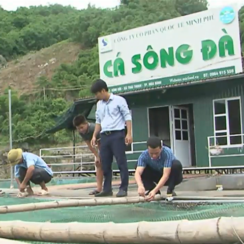 Đặc sản cá sông Đà