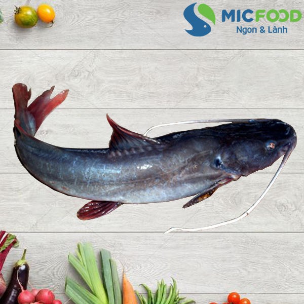Đặc sản cá Lăng - Món quà quý từ đất trời