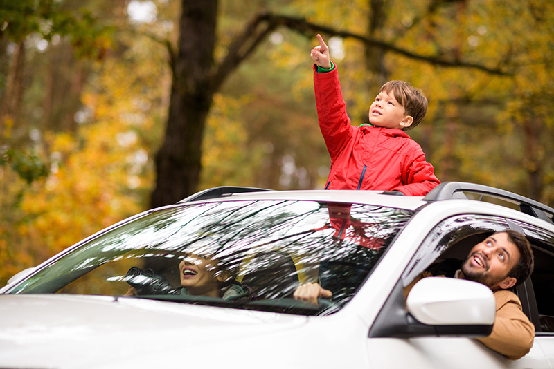 👶❓ CÓ NÊN CHO TRẺ THÒ ĐẦU QUA CỬA SỔ TRỜI NÓC Ô TÔ? 🚙💨