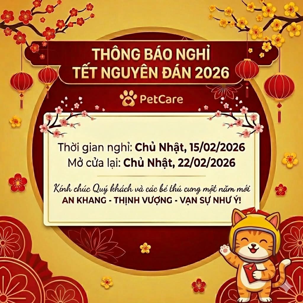 [THÔNG BÁO] Lịch nghỉ Tết Nguyên Đán Bính Ngọ 2026