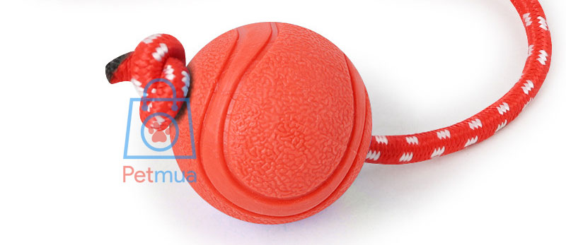 Bóng cao su dây cắn gặm huấn luyện chó