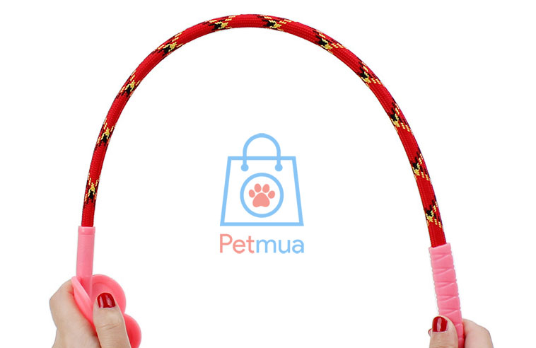 Phần thân cây tét đít chó mèo dẻo, đàn hồi nên rất bền khi sử dụng