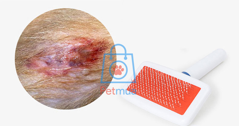 Lược chải lông cán cao su chống trượt chống xước da