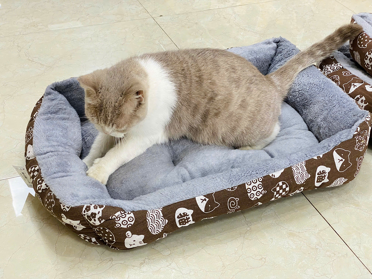 Ổ đệm cho chó mèo lót nhung in hình