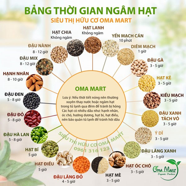 Phần 1: sổ tay sữa hạt, phân biệt các loại hạt, ngâm và cách kết hợp nguyên liệu hạt làm sữa