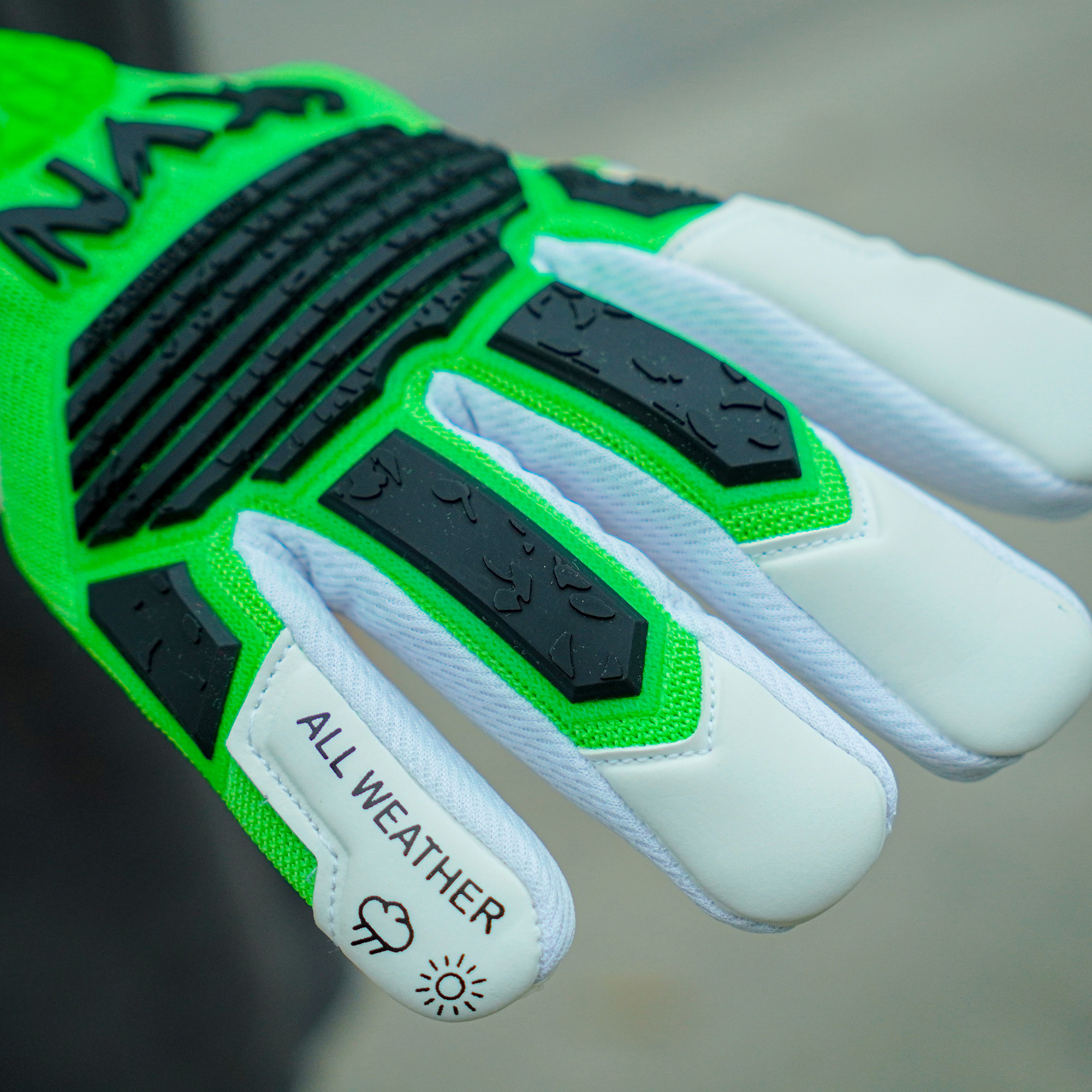 GKVN Mệnh 2025 - Mộc