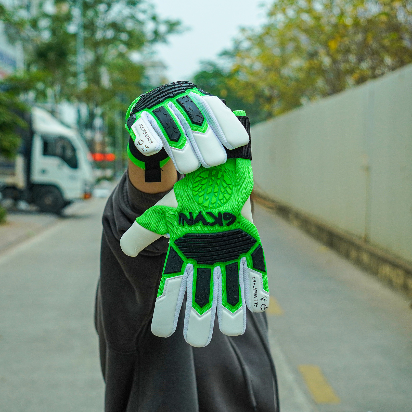 GKVN Mệnh 2025 - Mộc