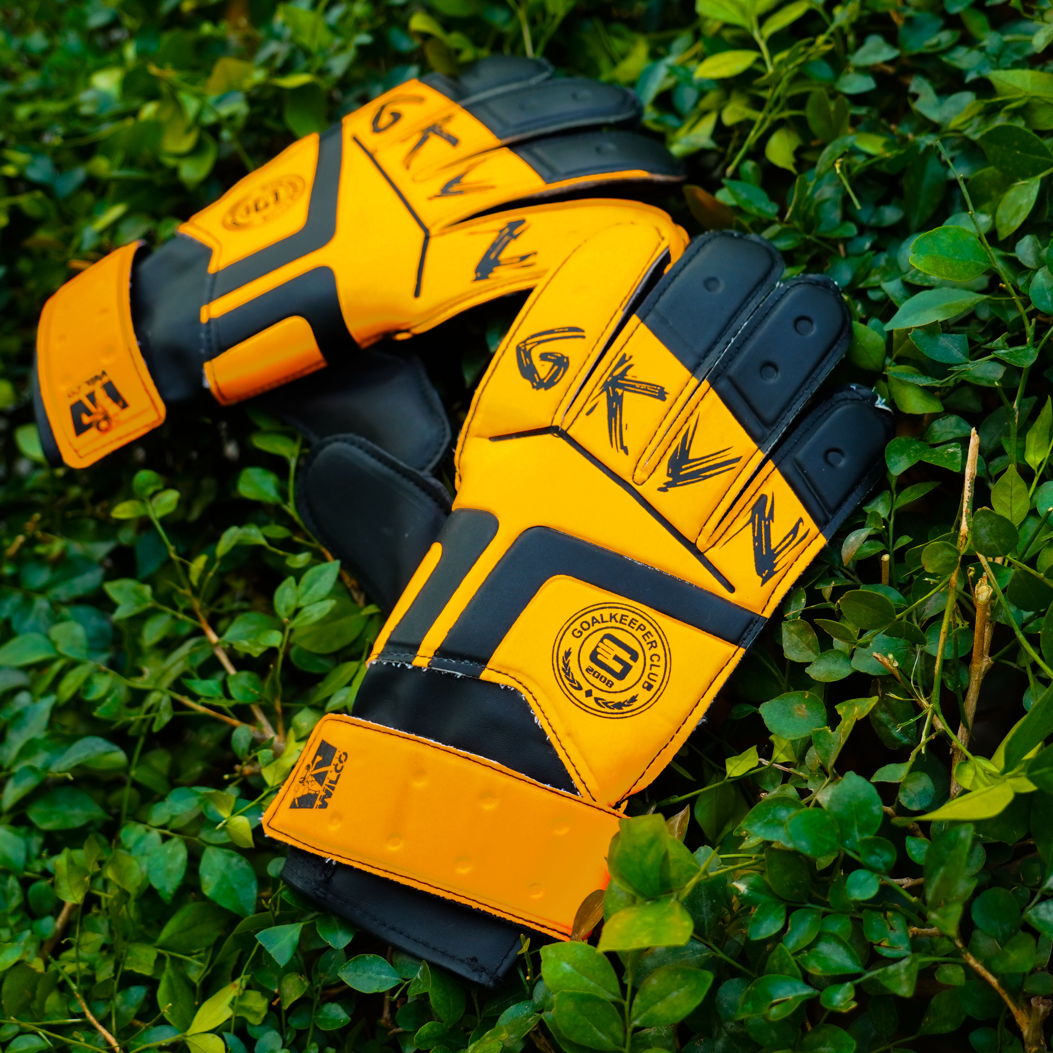 GKVN Nhi Đồng - Cam