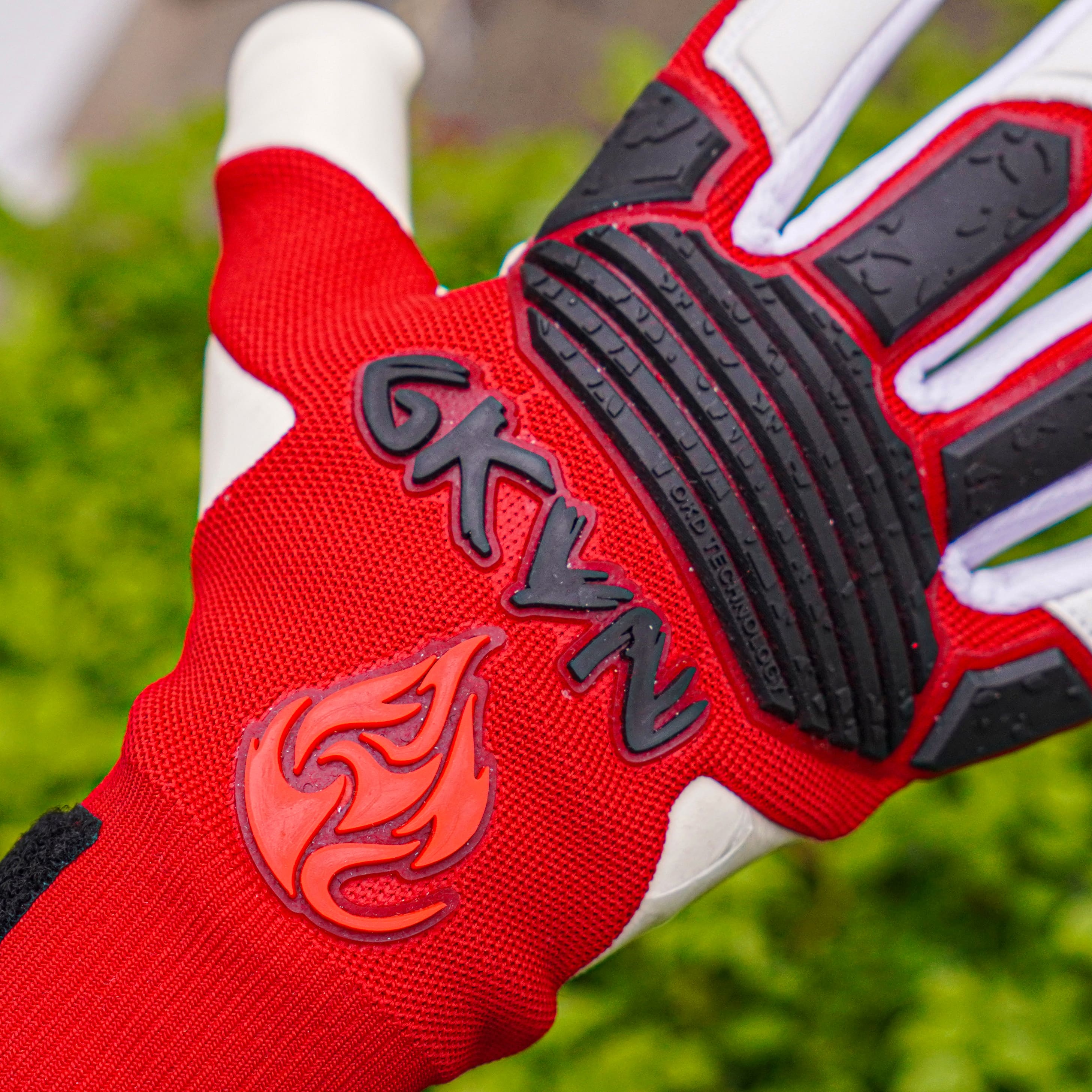 GKVN Mệnh 2025 - Hỏa