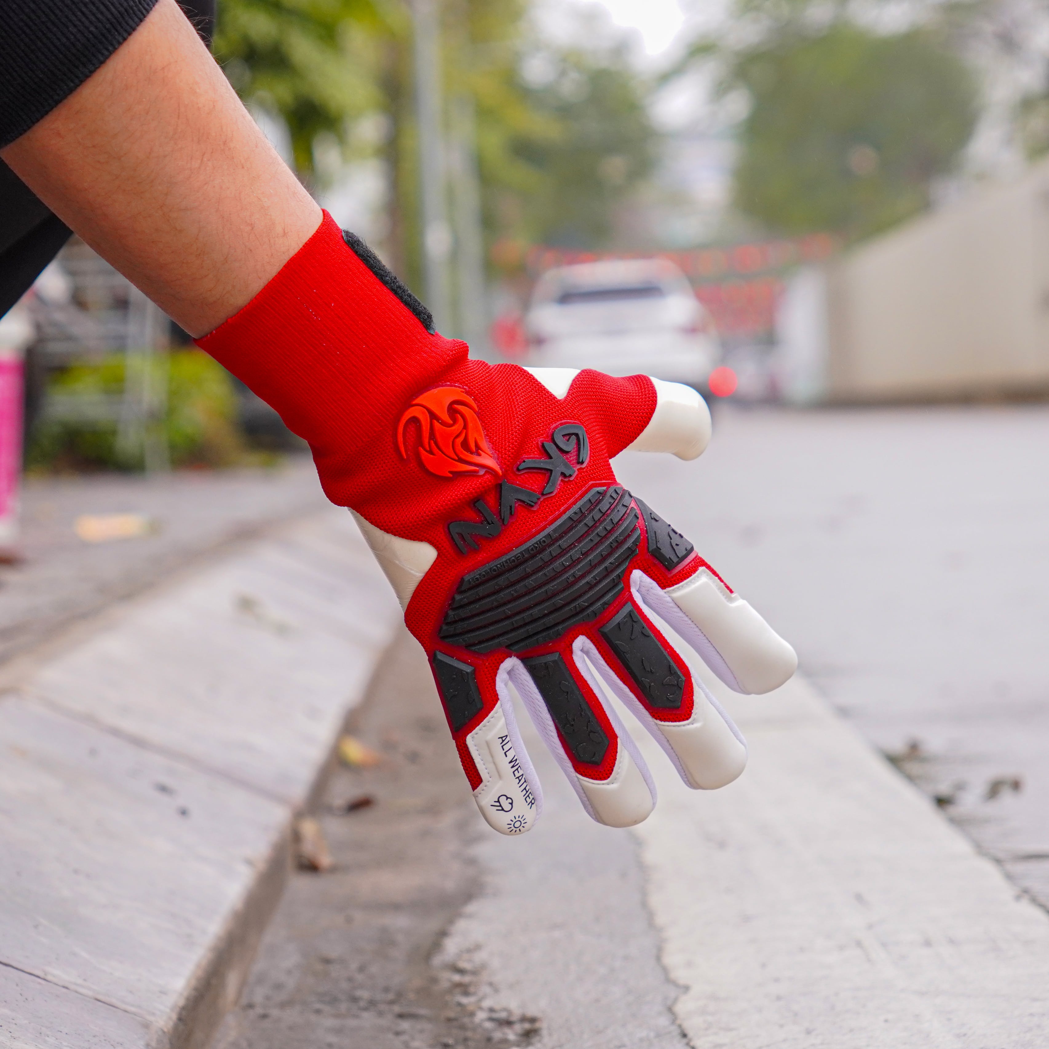 GKVN Mệnh 2025 - Hỏa