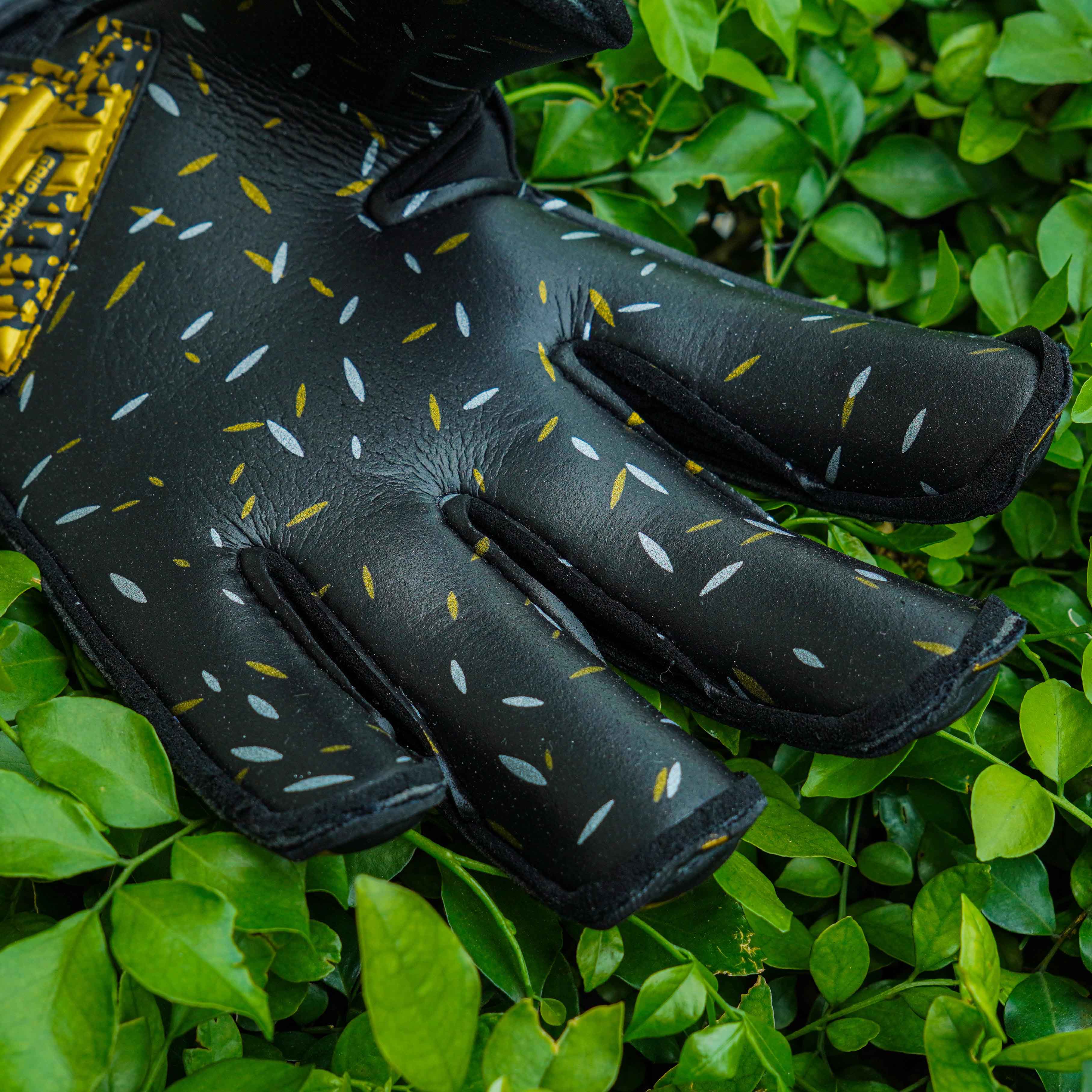 GKVN 4 mùa Thu Cuối - Mút Đen