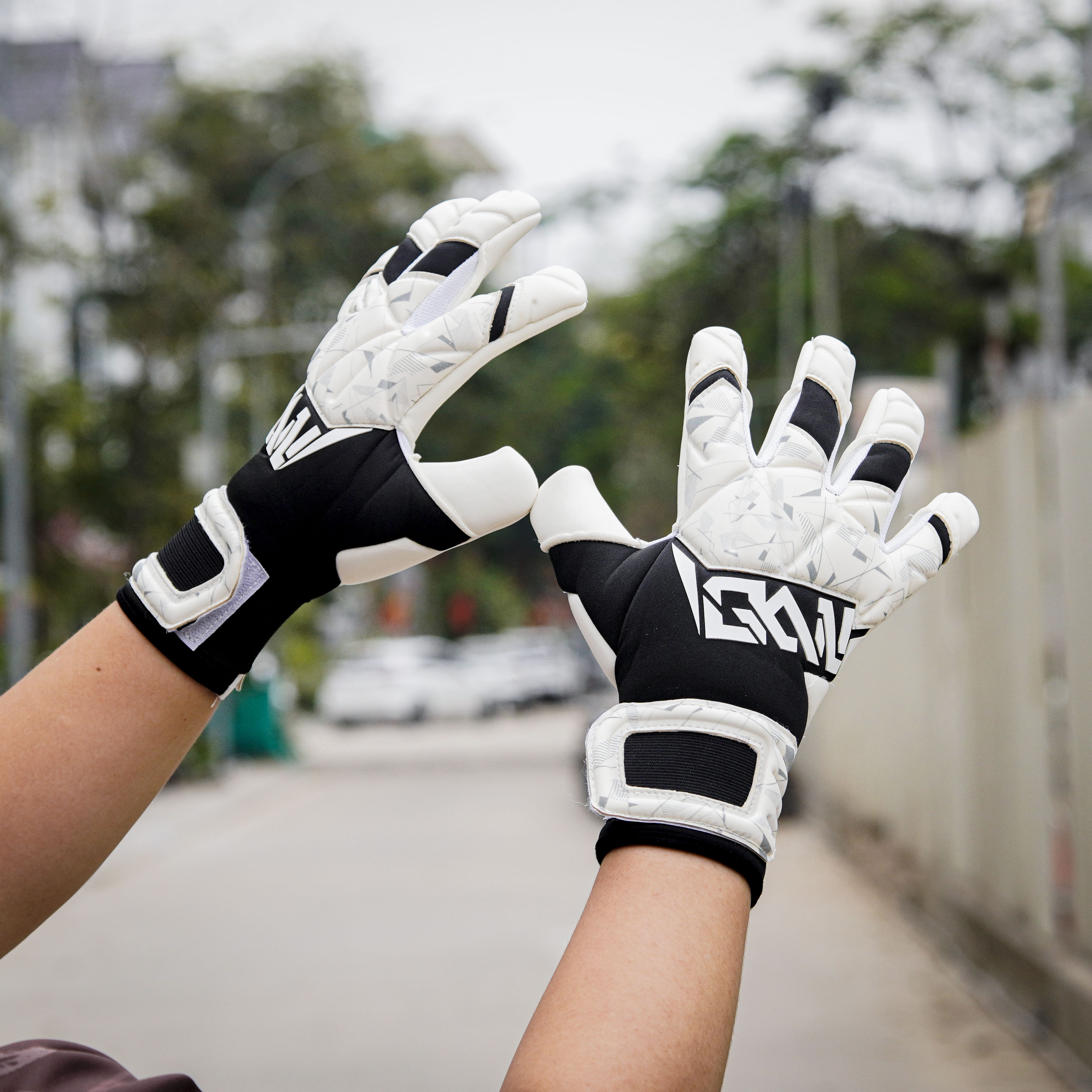 GKVN Bụi