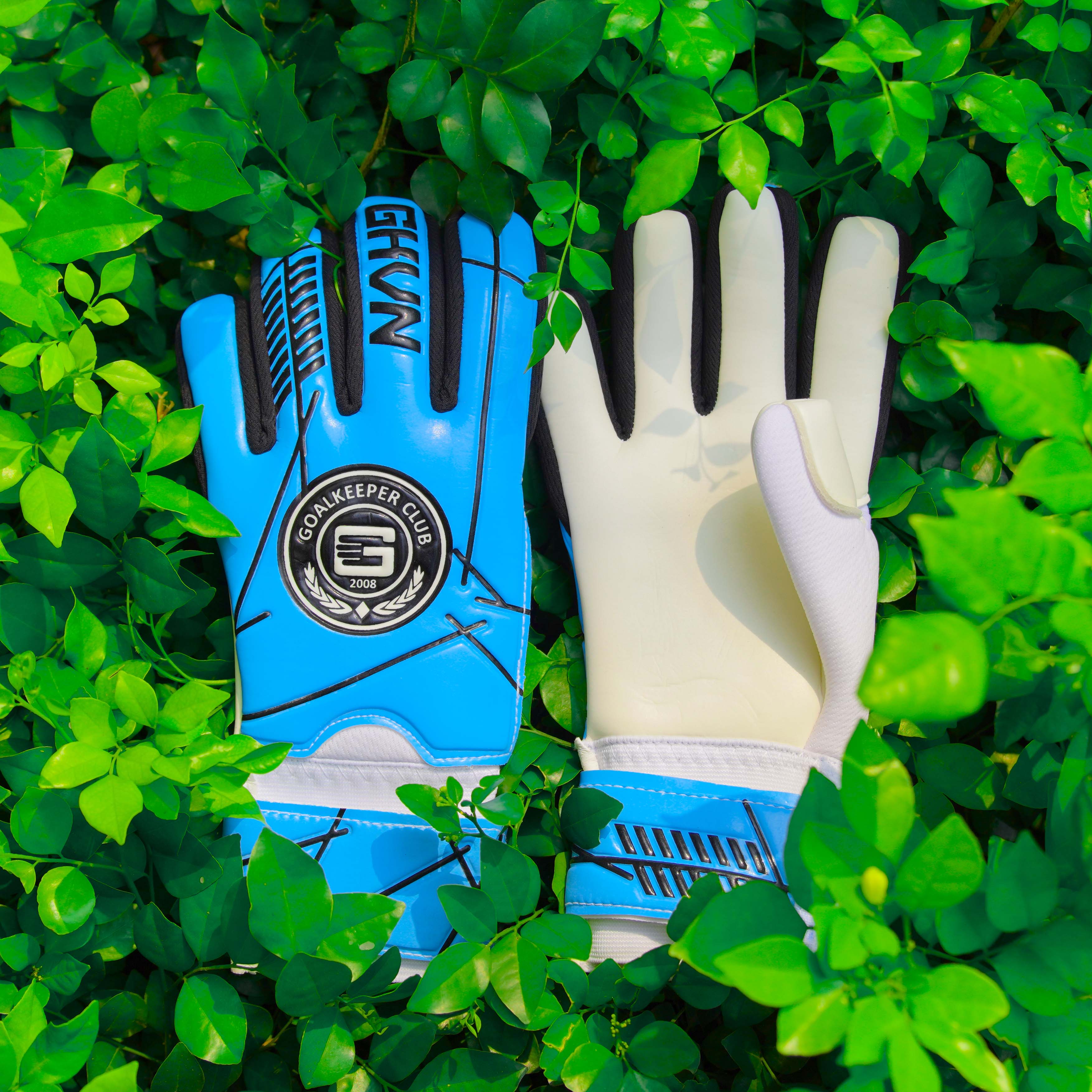 GKVN Bền - Xanh biển