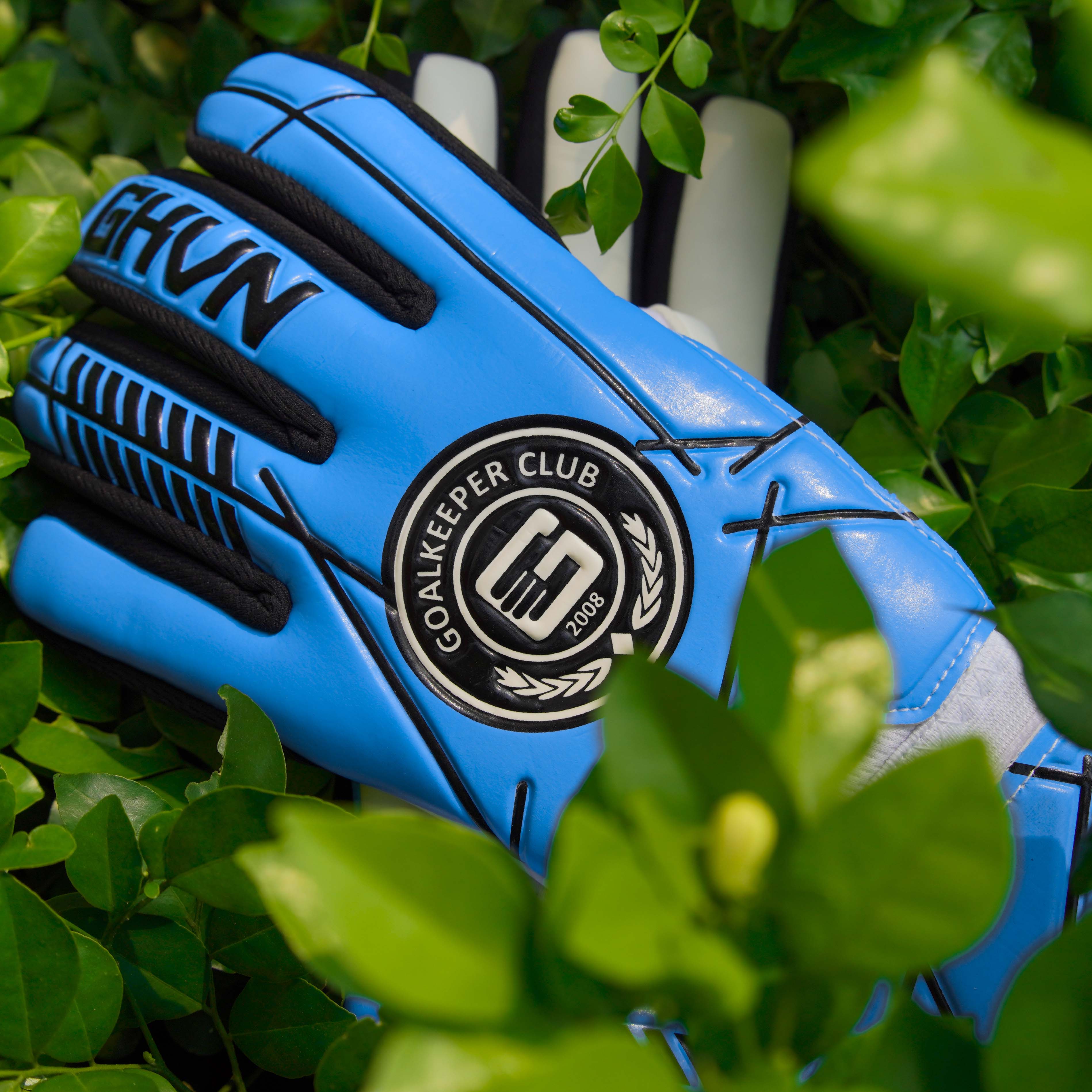 GKVN Bền - Xanh biển