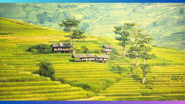 tour du lịch miền bắc 5 ngày 4 đêm