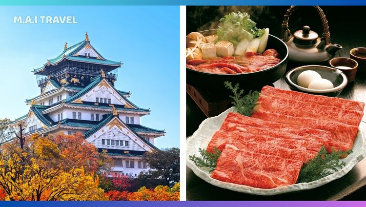 Tour Nhật Bản Tết 2025