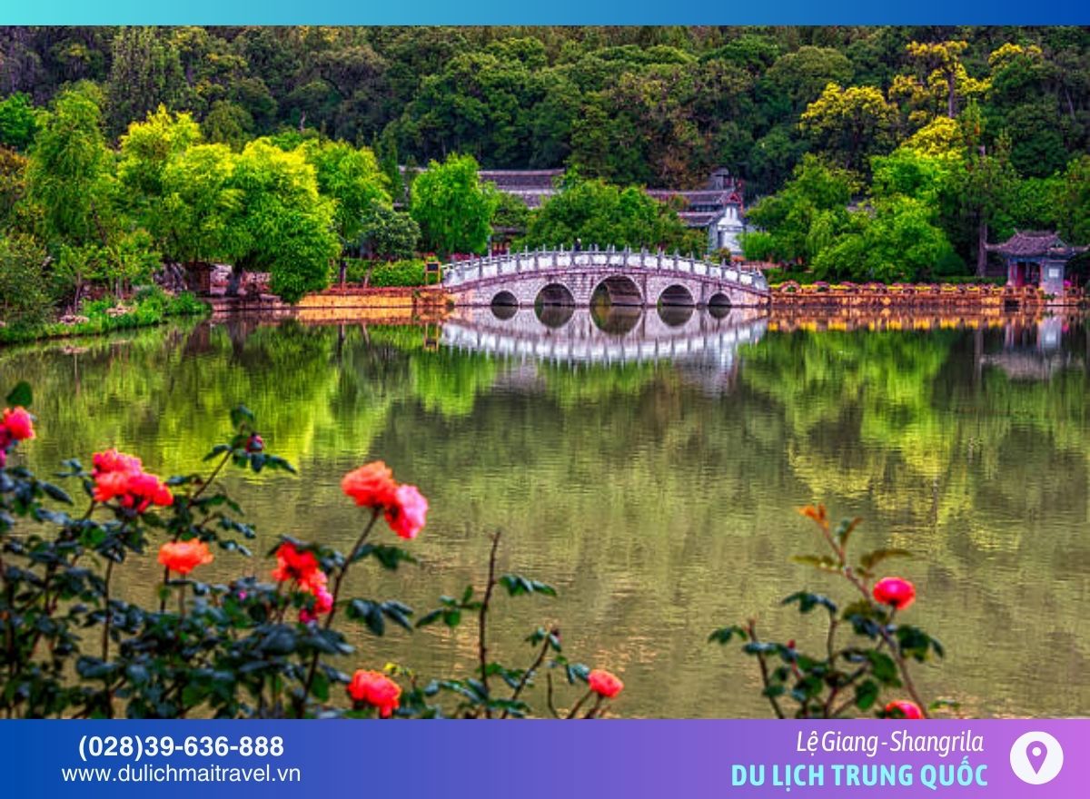 Tour Trung Quốc 5N4D • Lệ Giang- Shangrila | Mùng 1 Tết 2026 • No Shop