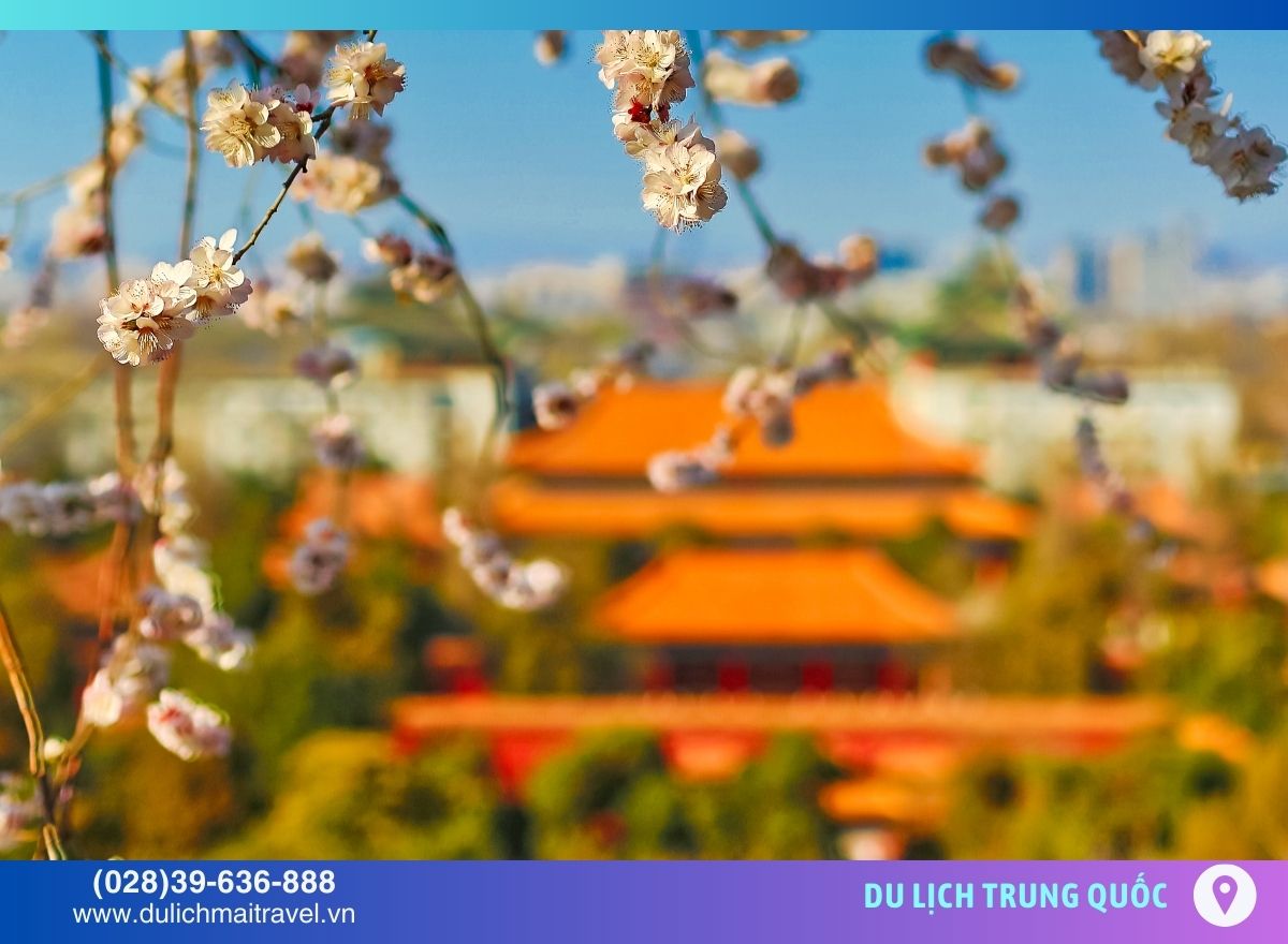 Tour Bắc Kinh 4N4D• Tử Cấm Thành - Vạn Lý Trường Thành - Di Hòa Viên • 29 & Mùng 2 Tết