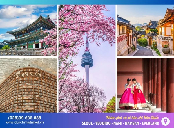 TOUR HÀN QUỐC MÙA HOA ANH ĐÀO 5N4D | Seoul- Nami-Hái Trái Cây- Nam San- Everland- Công Viên Yeouido